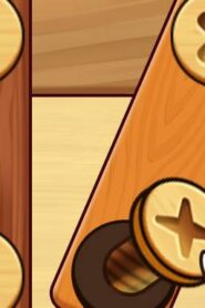 Screw Nuts Bolts: Wood Solve