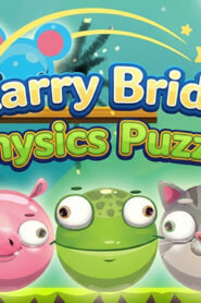 Starry Bridge Physics Puzzle