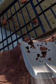 Prison Master: Escape Journey